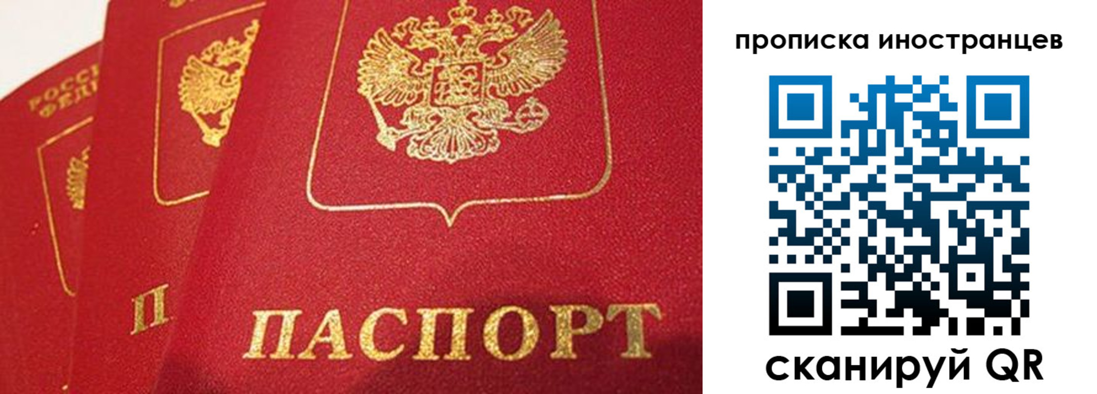 прописка поиск в Воронеже